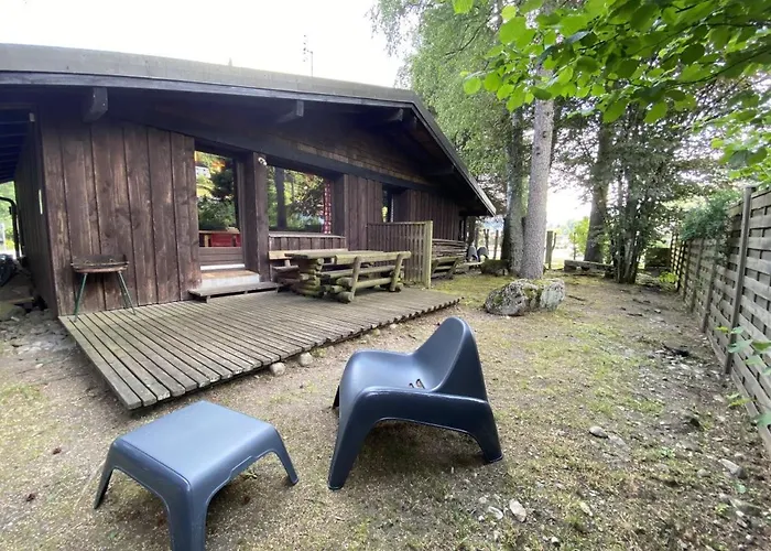 La Pomme De Pin 1 Appartement Avec Terrasse